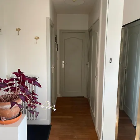 L'isernon, Avec Balcons Et Garage 안시